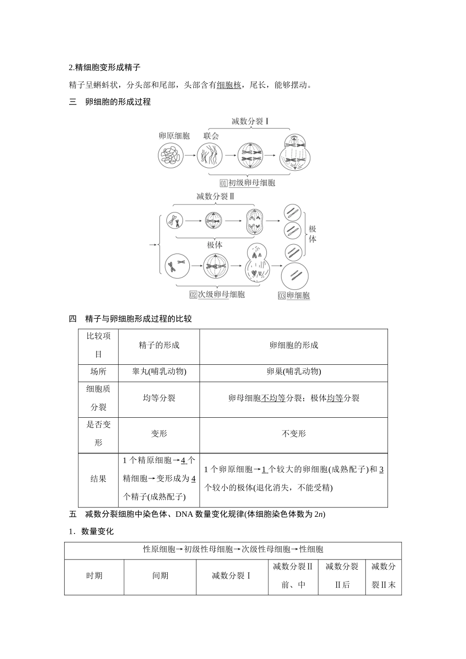 2026《金版教程》高考复习方案生物经典不定项版-第三单元 第2课时 减数分裂和受精作用.docx_第3页