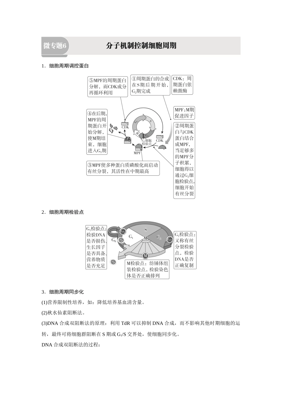 2026《金版教程》高考复习方案生物经典不定项版-第三单元 微专题6 分子机制控制细胞周期.docx_第1页