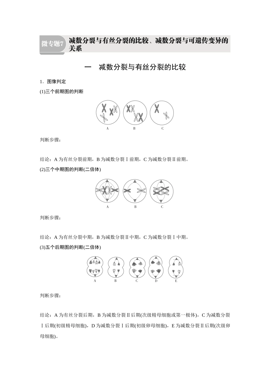 2026《金版教程》高考复习方案生物经典不定项版-第三单元  微专题7  减数分裂与有丝分裂的比较、减数分裂与可遗传变异的关系.docx_第1页