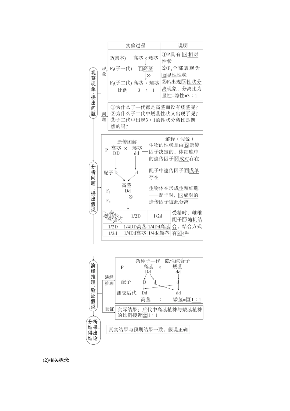 2026《金版教程》高考复习方案生物经典不定项版-第四单元  第1课时  分离定律.docx_第3页