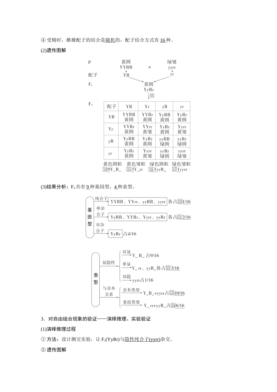 2026《金版教程》高考复习方案生物经典不定项版-第四单元  第3课时  自由组合定律.docx_第2页