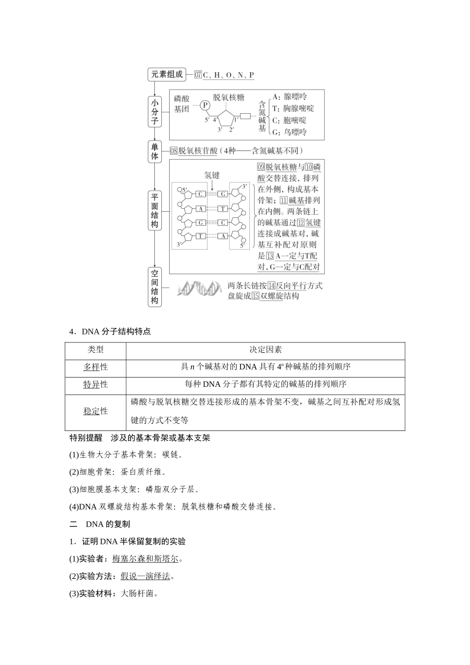 2026《金版教程》高考复习方案生物经典不定项版-第五单元  第2课时  DNA的结构和复制、基因的本质.docx_第2页