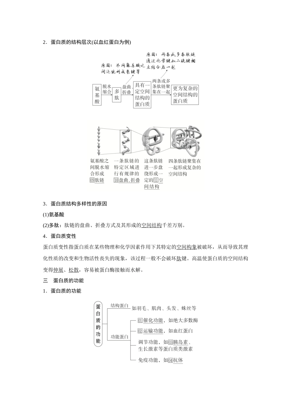 2026《金版教程》高考复习方案生物经典不定项版-第一单元  第3课时  蛋白质和核酸.docx_第2页
