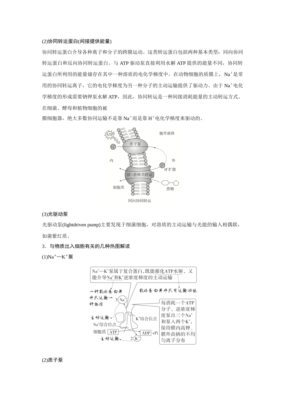 2026《金版教程》高考复习方案生物经典单选版-第二单元 徽专题2 与物质出入细胞方式有关的热考题型(通道蛋白、主动运输3种类型、各种泵:Na+ —K +泵、质子泵、Ca2+泵等).docx_第2页