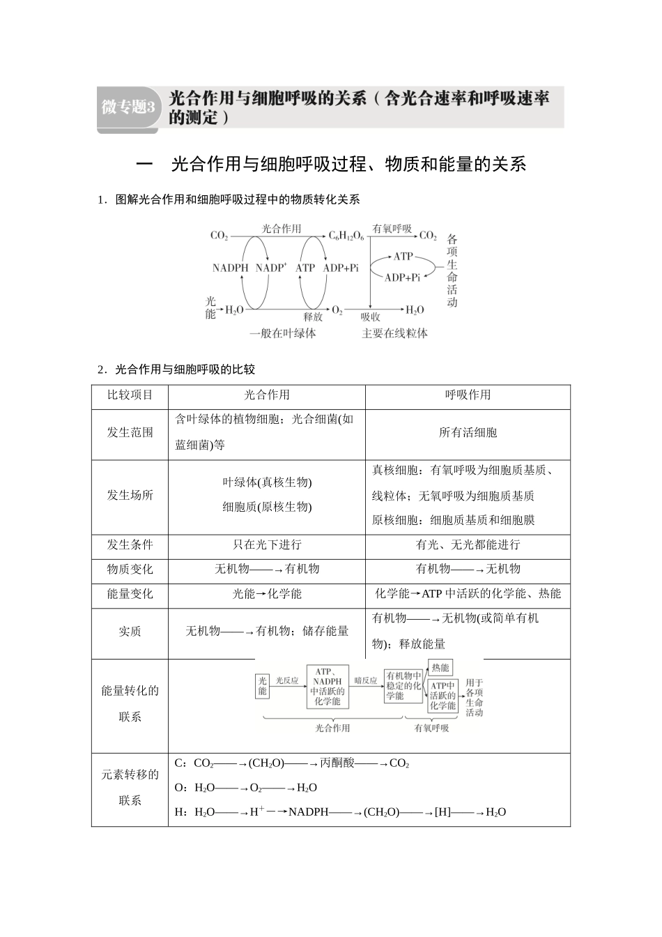 2026《金版教程》高考复习方案生物经典单选版-第二单元  微专题3　光合作用与细胞呼吸的关系(含光合速率和呼吸速率的测定).docx_第1页