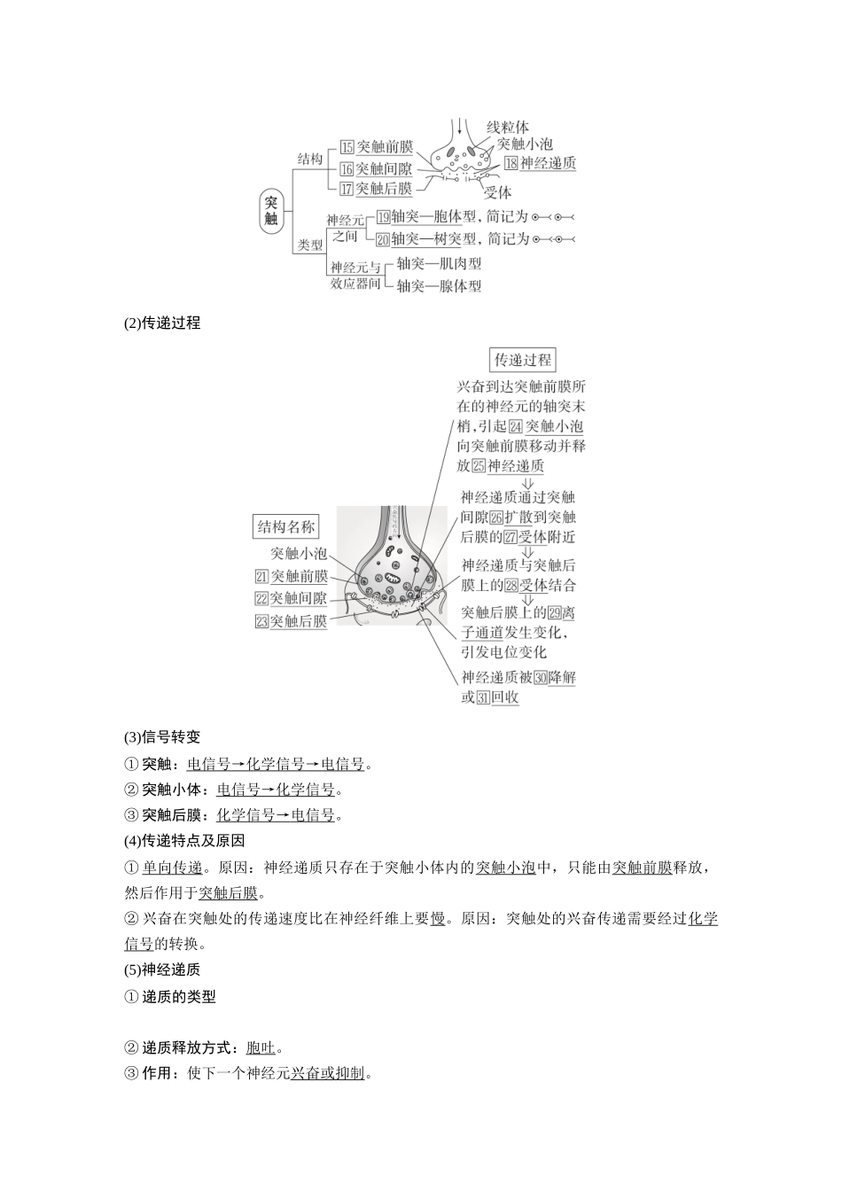 2026《金版教程》高考复习方案生物经典单选版-第七单元 第3课时 神经冲动的产生、传导和传递.docx_第2页