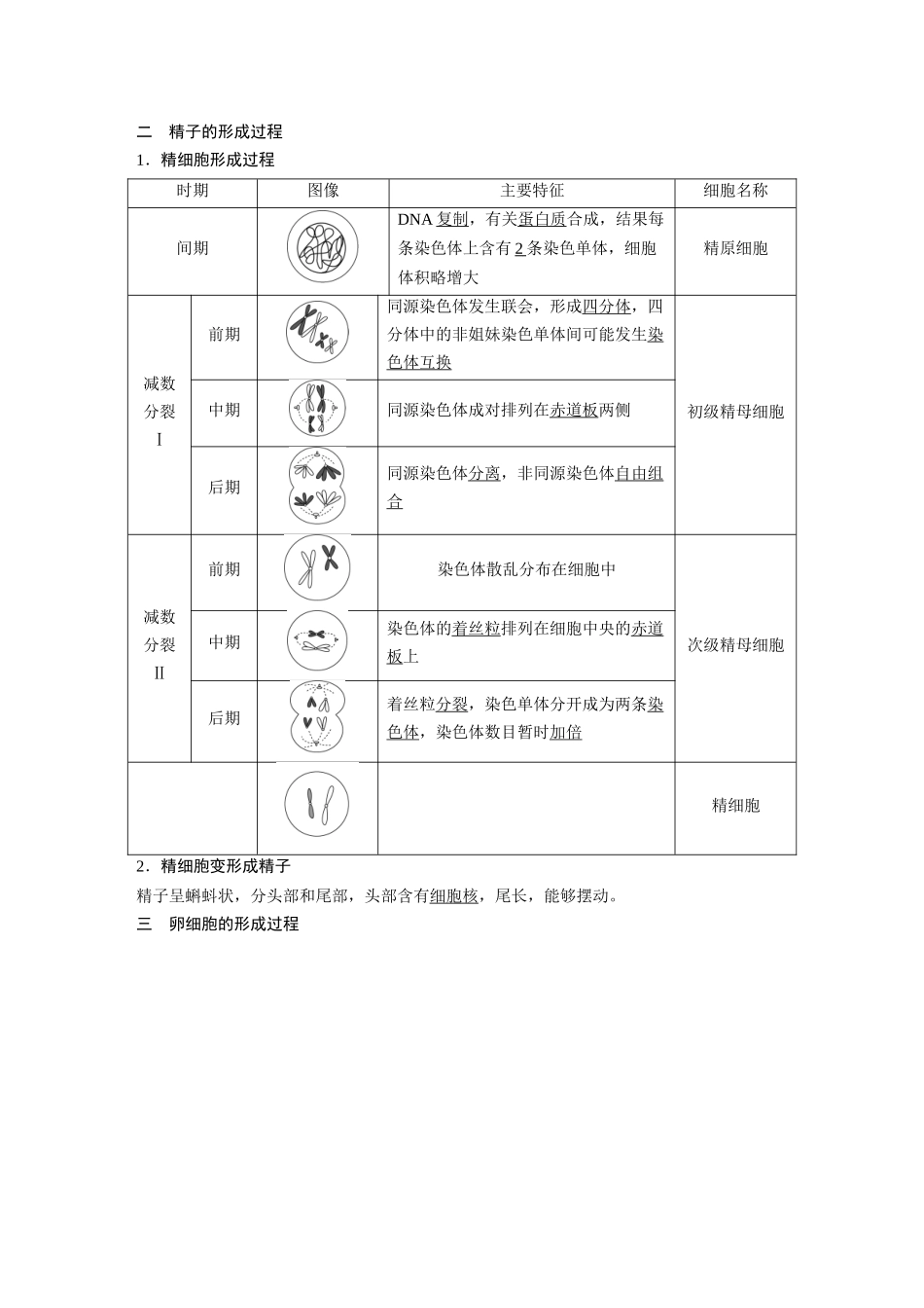 2026《金版教程》高考复习方案生物经典单选版-第三单元 第2课时 减数分裂和受精作用.docx_第2页