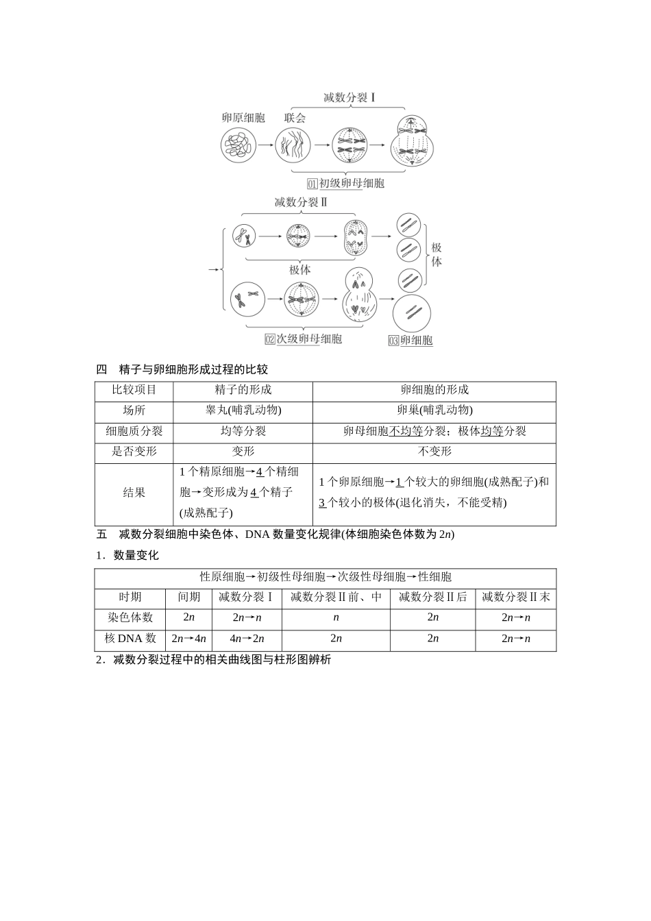 2026《金版教程》高考复习方案生物经典单选版-第三单元 第2课时 减数分裂和受精作用.docx_第3页