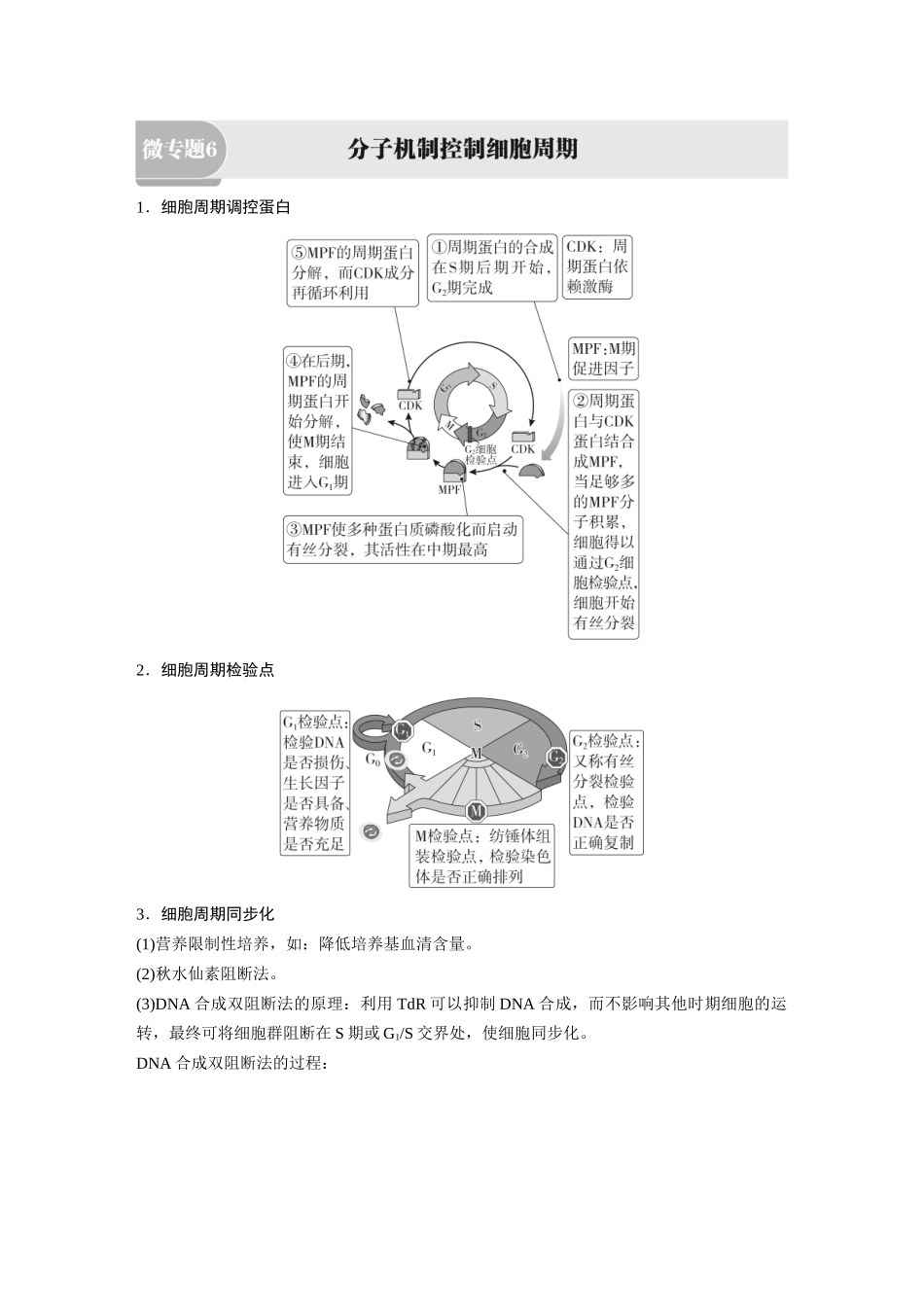 2026《金版教程》高考复习方案生物经典单选版-第三单元 微专题6 分子机制控制细胞周期.docx_第1页