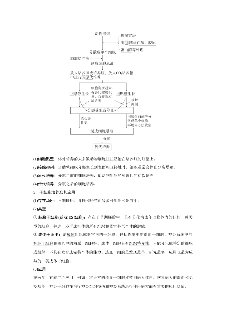 2026《金版教程》高考复习方案生物经典单选版-第十单元 小单元2 第2课时 动物细胞工程.docx_第2页