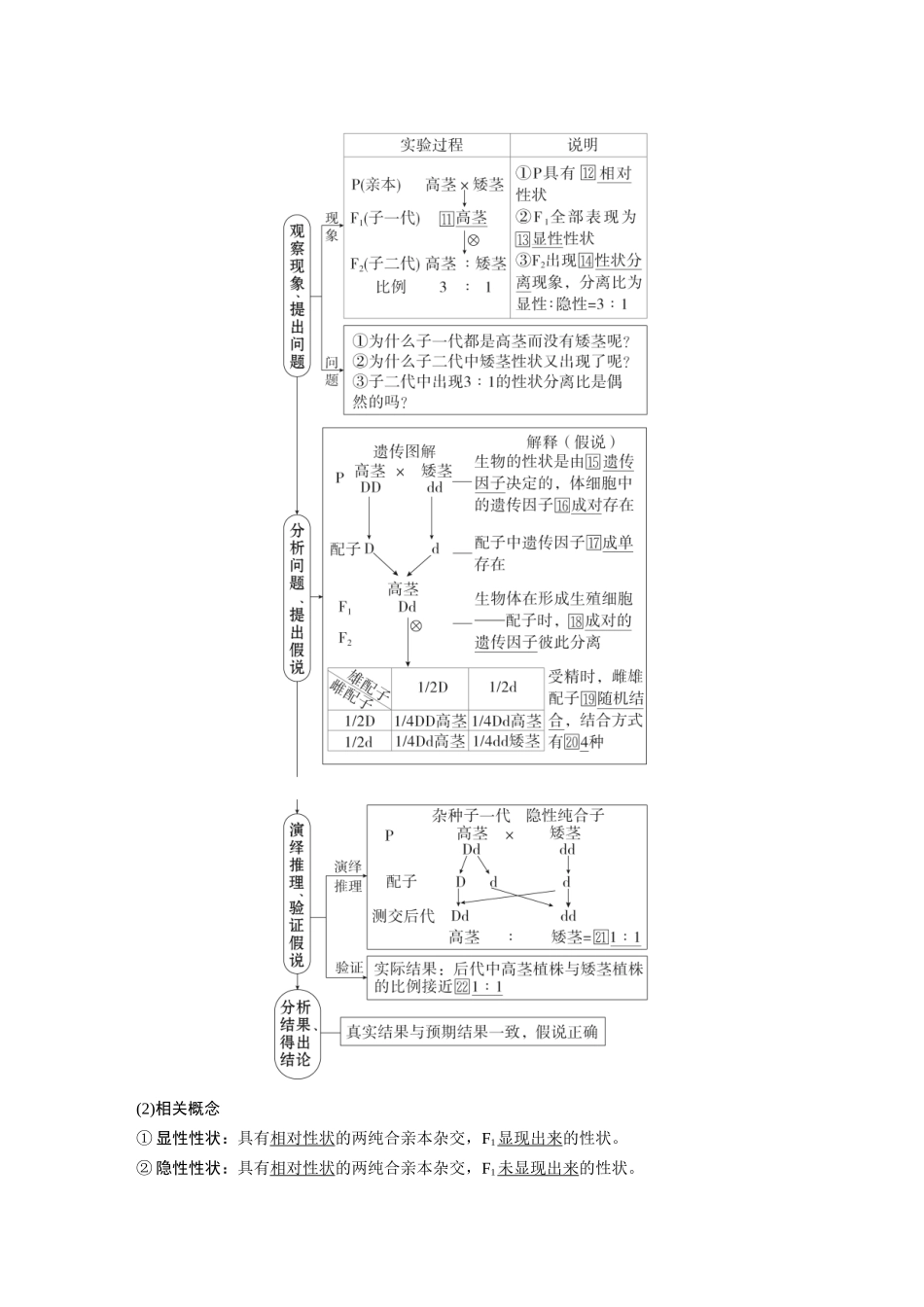 2026《金版教程》高考复习方案生物经典单选版-第四单元 第1课时 分离定律.docx_第3页