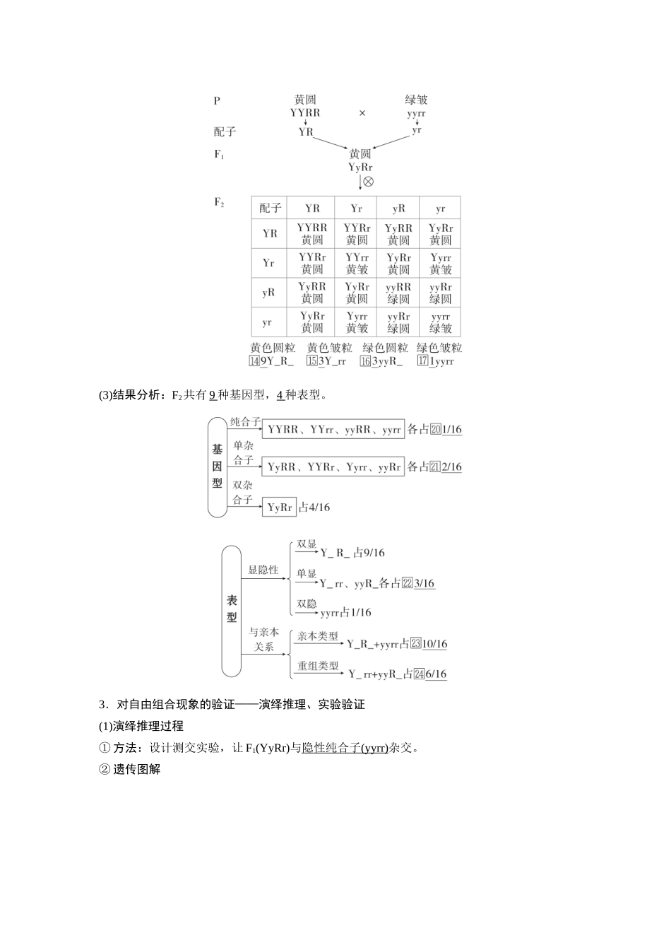 2026《金版教程》高考复习方案生物经典单选版-第四单元 第3课时 自由组合定律.docx_第2页
