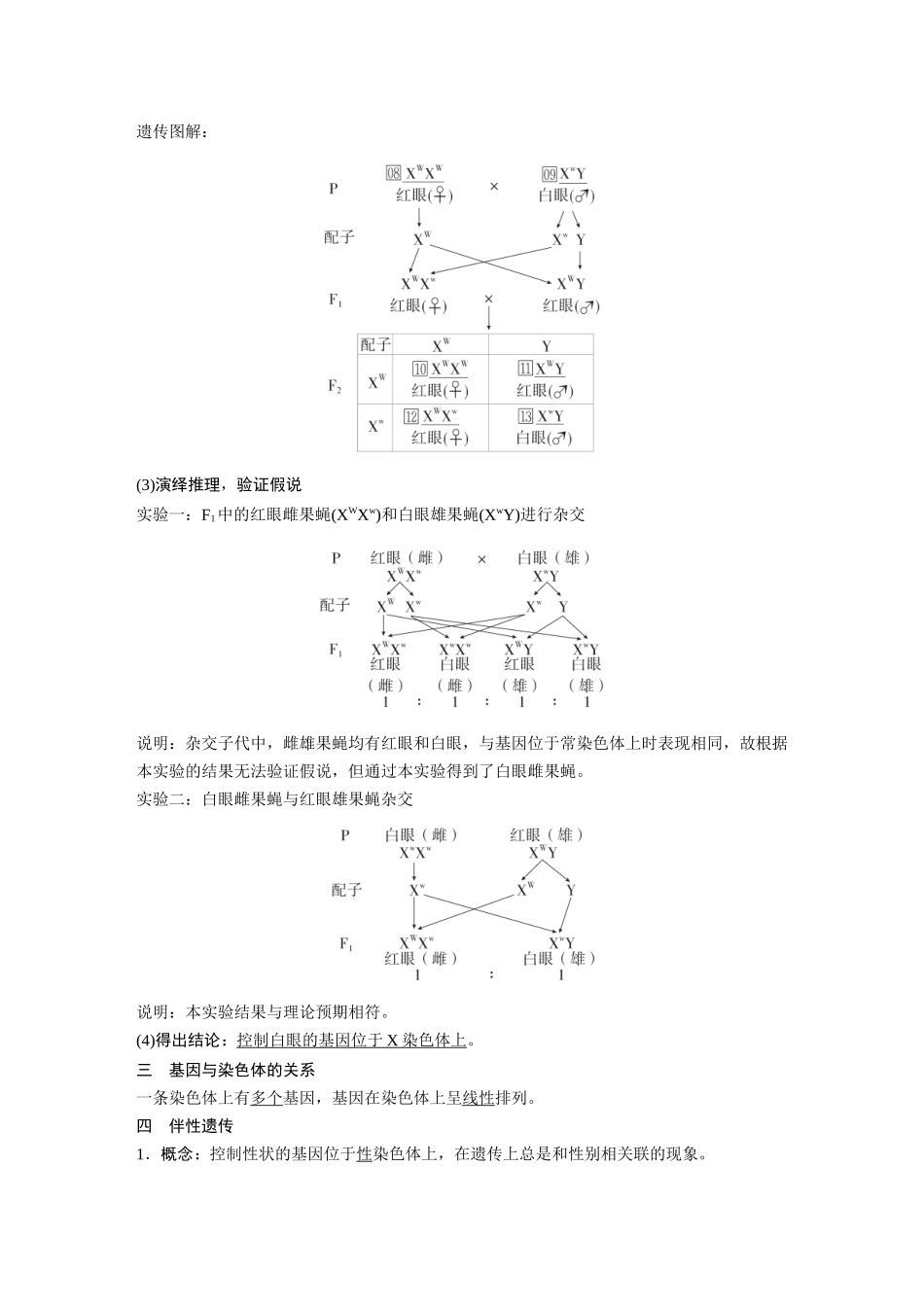2026《金版教程》高考复习方案生物经典单选版-第四单元 第6课时 基因在染色体上、伴性遗传.docx_第2页