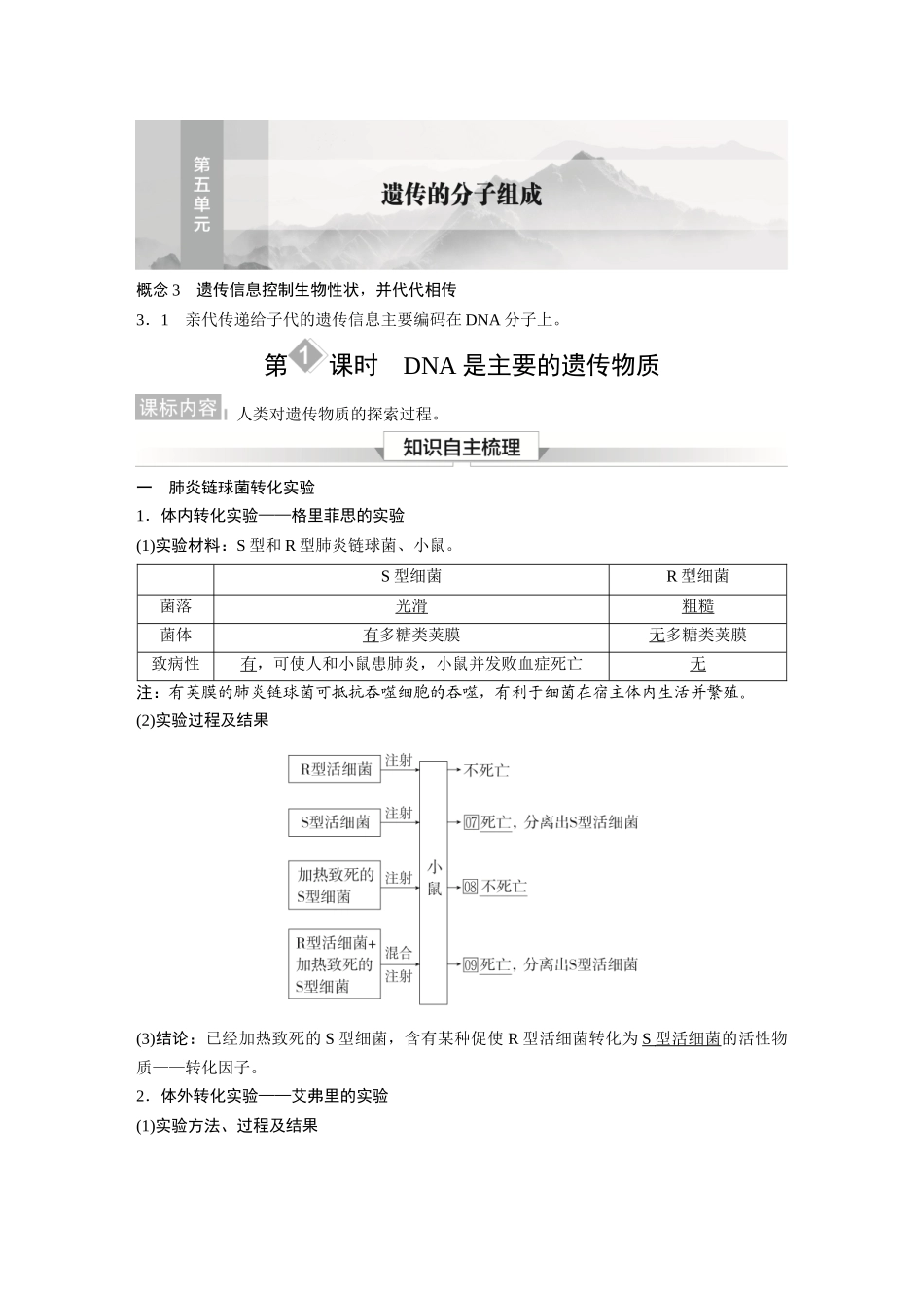2026《金版教程》高考复习方案生物经典单选版-第五单元 第1课时 遗传的分子组成.docx_第1页