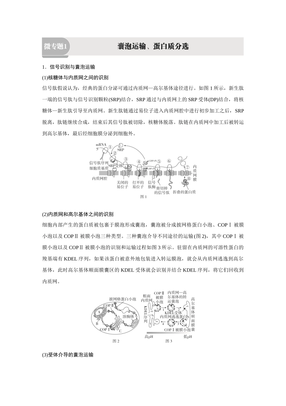 2026《金版教程》高考复习方案生物经典单选版-第一单元 微专题1 囊泡运输、蛋白质分选.docx_第1页