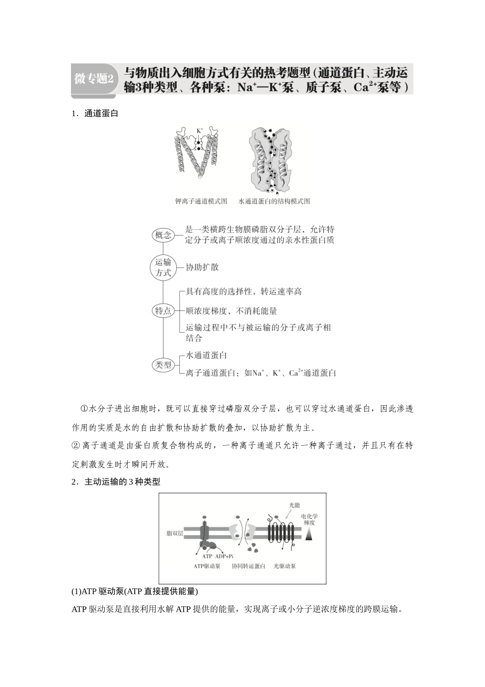 2026《金版教程》高考复习方案生物经典多选版-第二单元 徽专题2 与物质出入细胞方式有关的热考题型(通道蛋白、主动运输3种类型、各种泵:Na+ —K +泵、质子泵、Ca2+泵等).docx_第1页