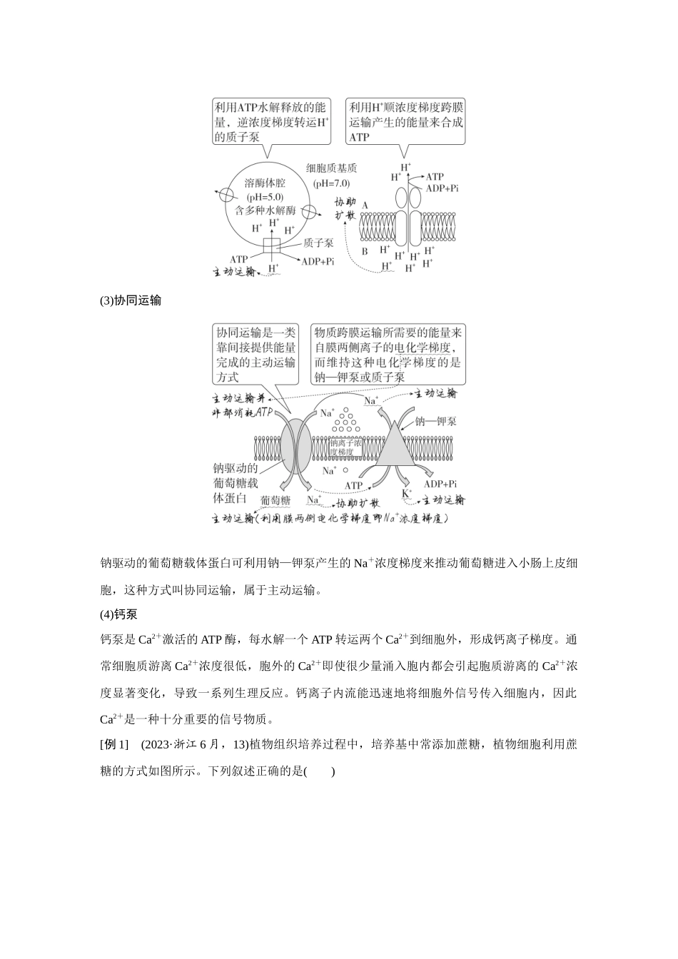 2026《金版教程》高考复习方案生物经典多选版-第二单元 徽专题2 与物质出入细胞方式有关的热考题型(通道蛋白、主动运输3种类型、各种泵:Na+ —K +泵、质子泵、Ca2+泵等).docx_第3页