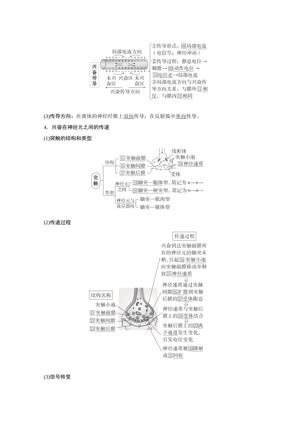 2026《金版教程》高考复习方案生物经典多选版-第七单元 第3课时 神经冲动的产生、传导和传递.docx_第2页