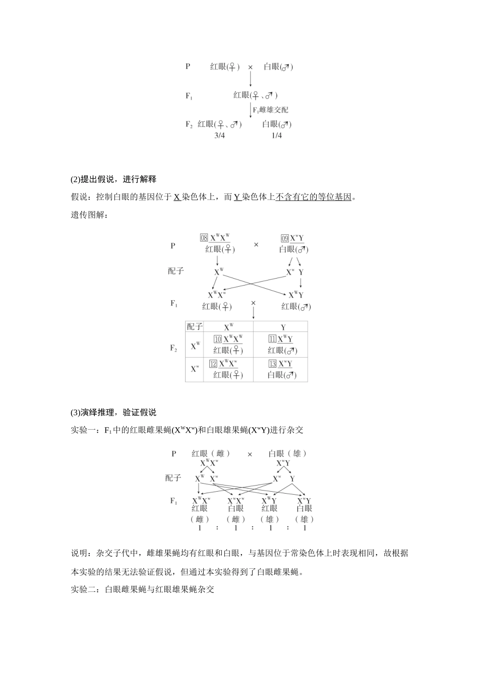 2026《金版教程》高考复习方案生物经典多选版-第四单元 第6课时 基因在染色体上、伴性遗传.docx_第2页