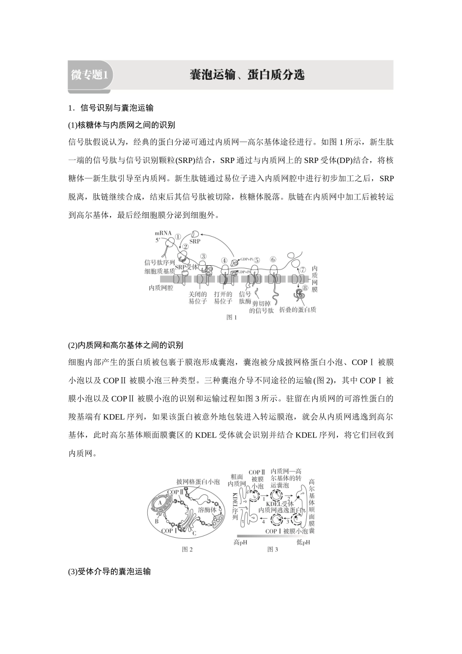 2026《金版教程》高考复习方案生物经典多选版-第一单元  微专题1  囊泡运输、蛋白质分选.docx_第1页