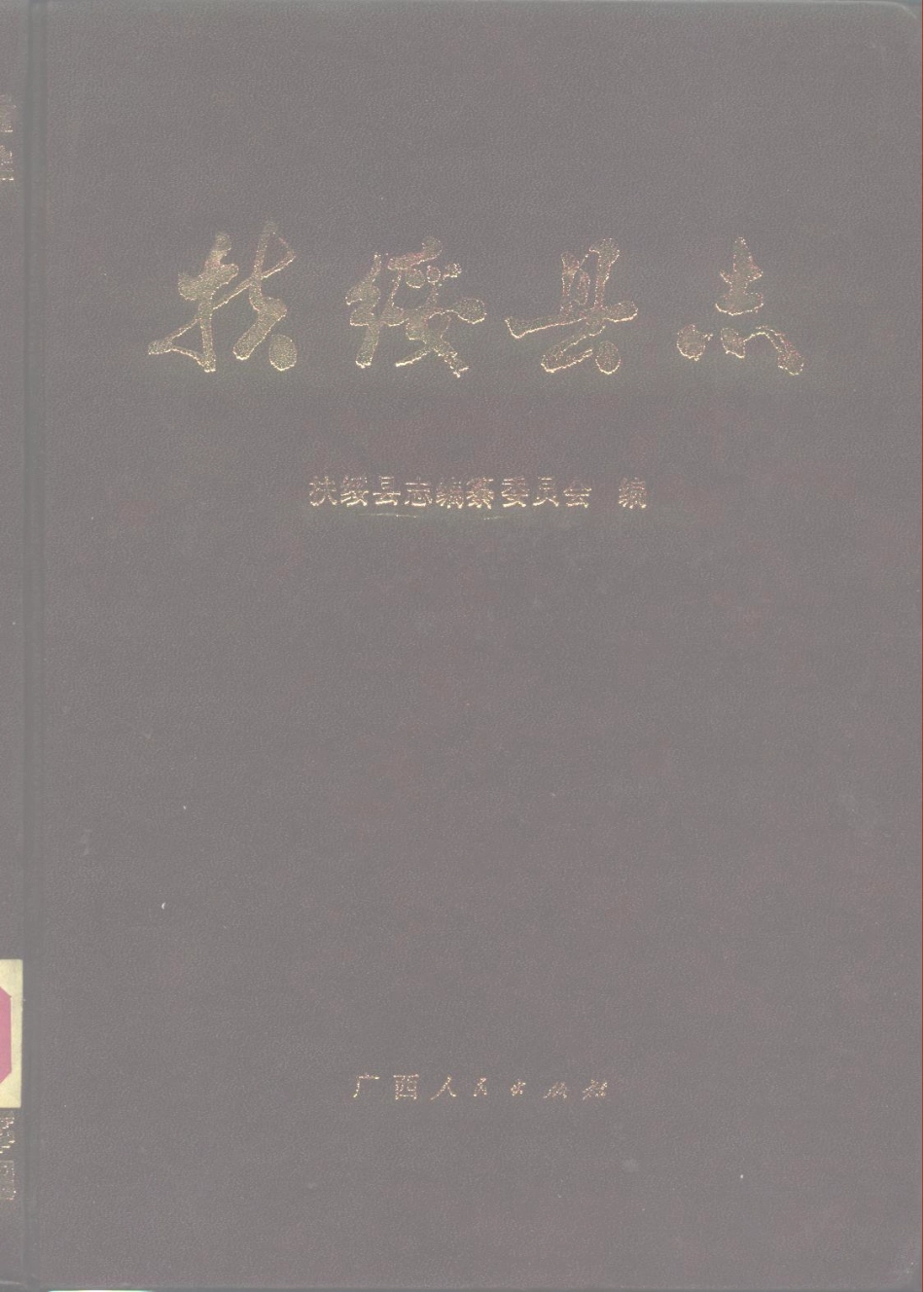 广西 扶绥县志.pdf_第1页