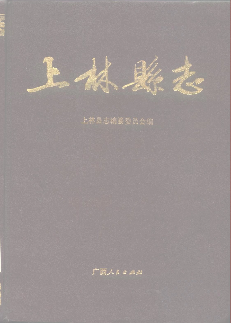 广西 上林县志.pdf_第1页