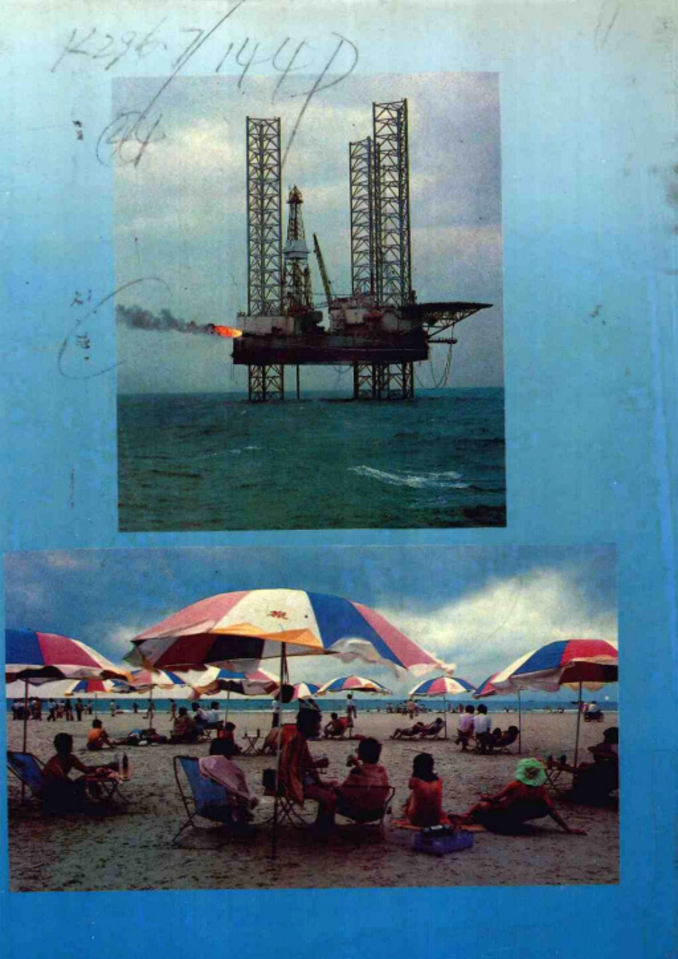 广西海域地名志.pdf_第2页