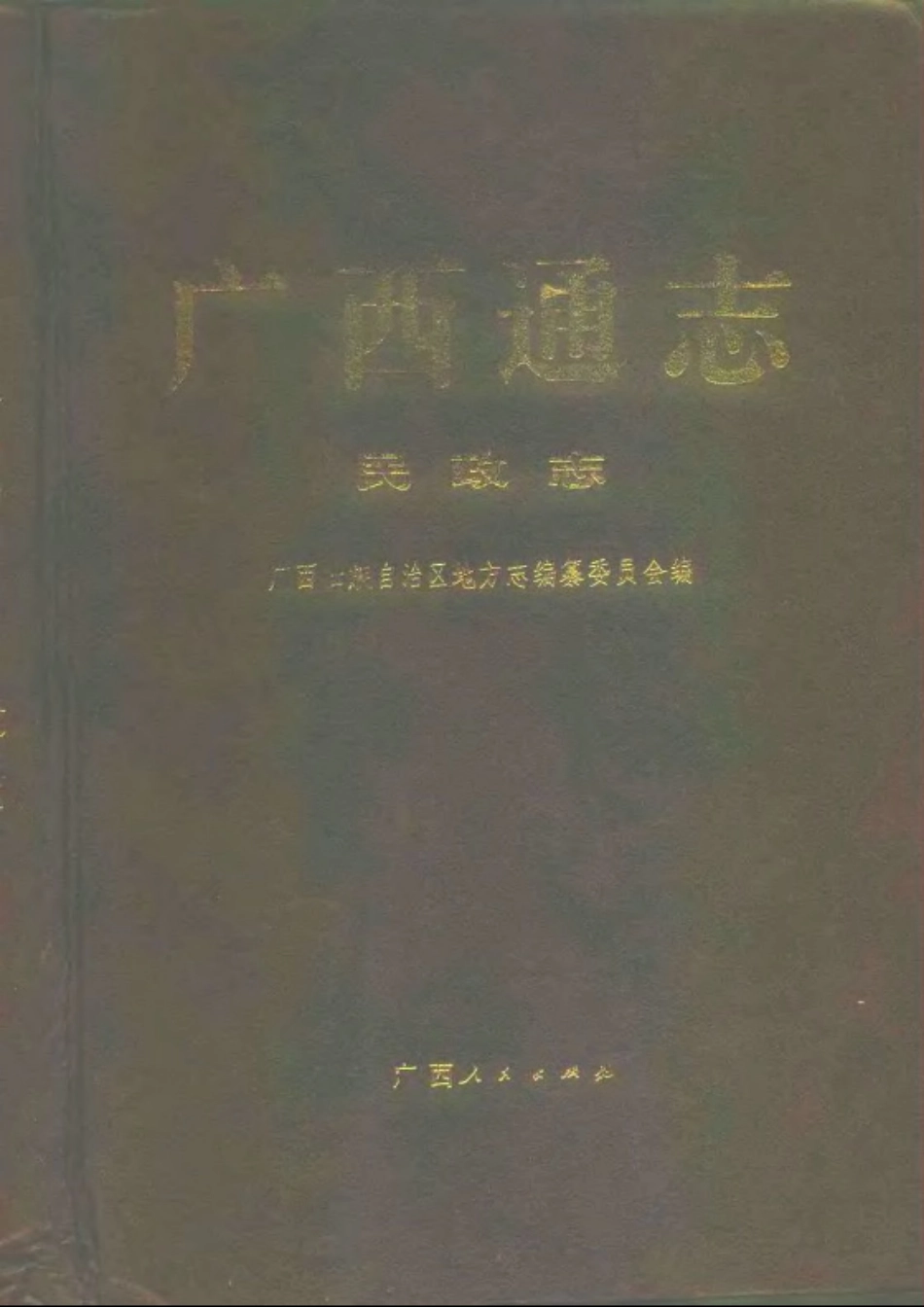 广西通志·民政志.pdf_第1页