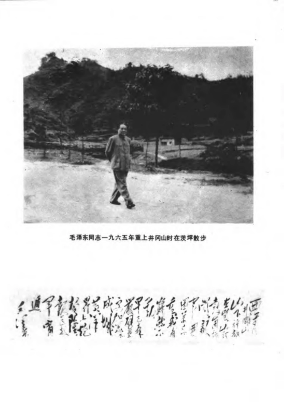 江西省井冈山市地名志.pdf_第3页