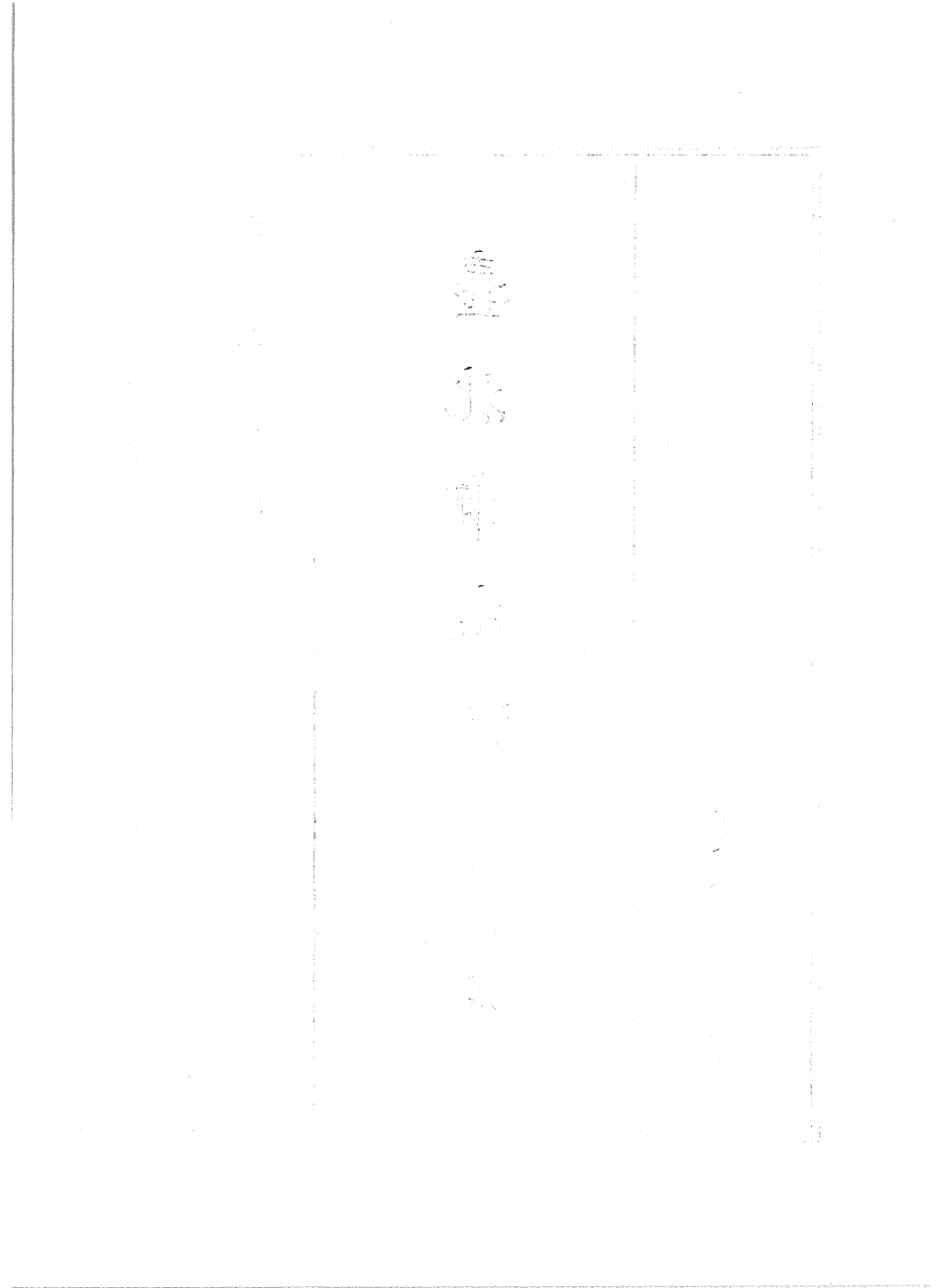 台北市志 卷6 经济志 商业篇.pdf_第3页