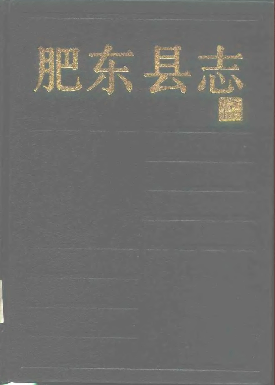 安徽省 肥东县志_1-200.pdf_第1页