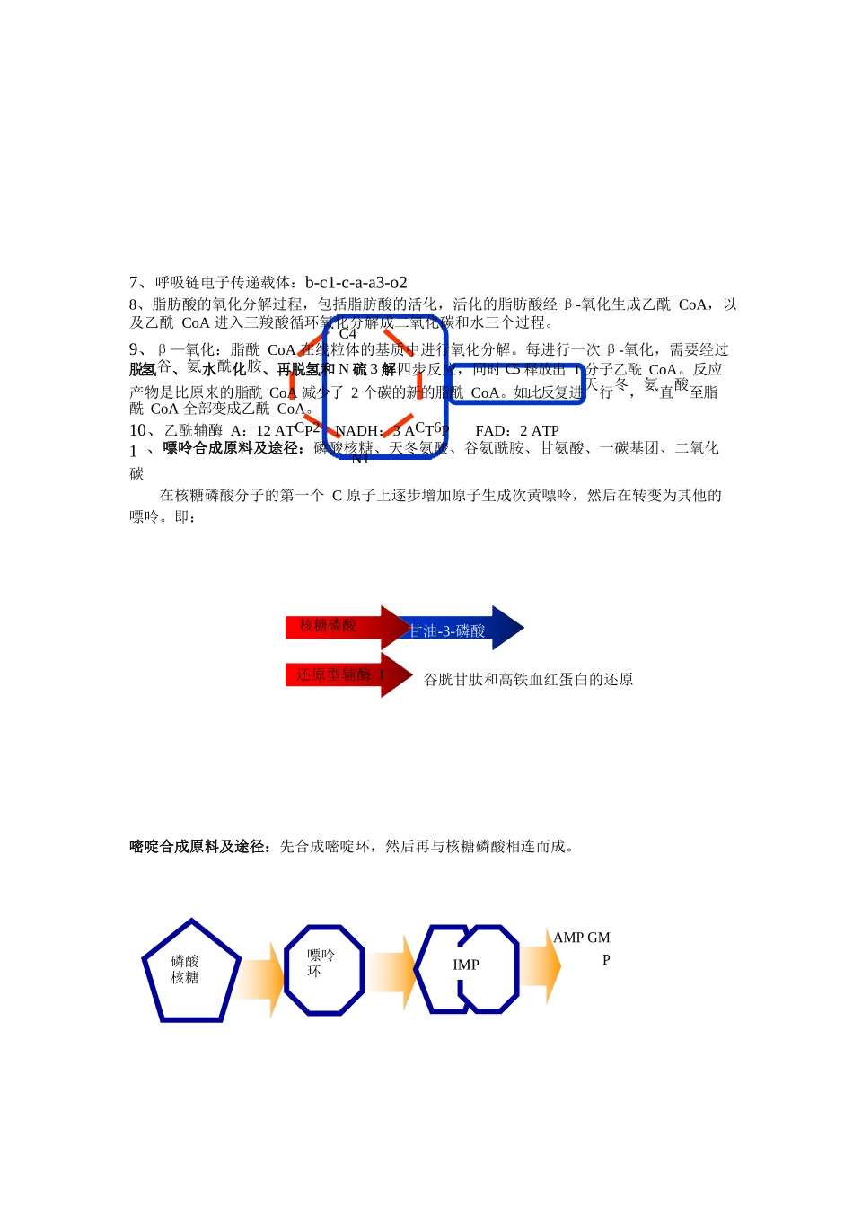 (完整版)动物生物化学期末复习资料超准.docx_第3页