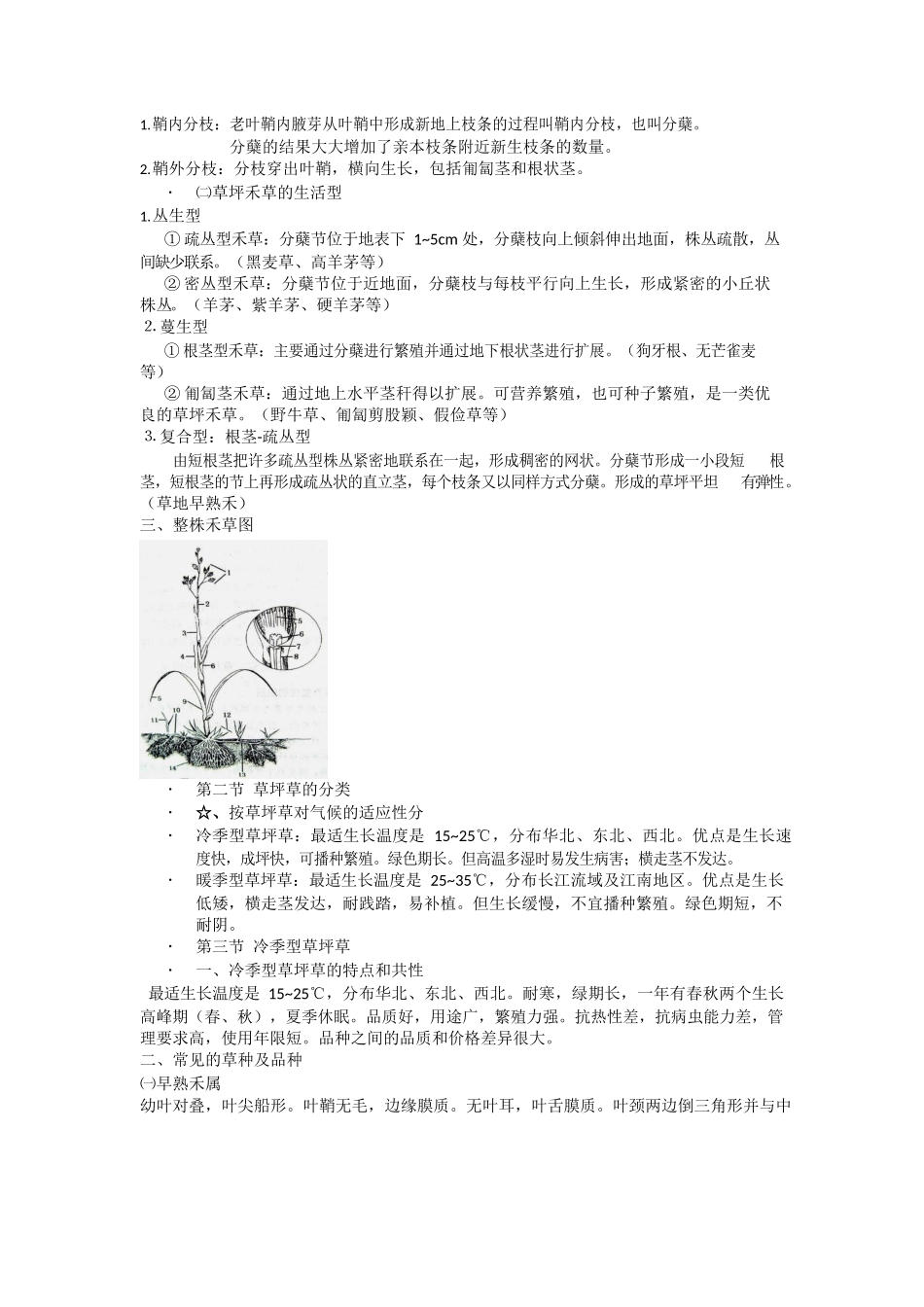草坪学重点.docx_第3页