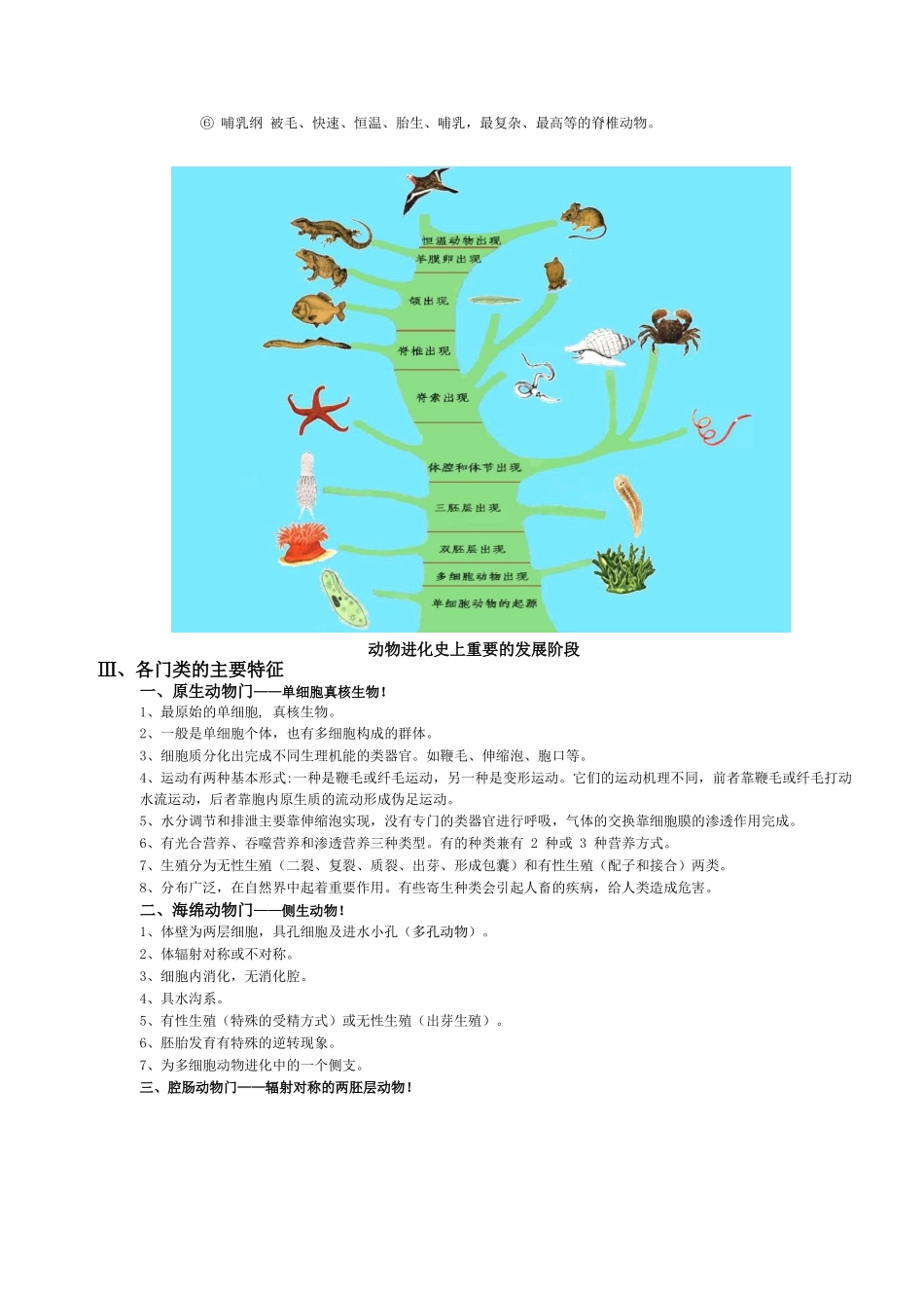 动物学知识点总结(全).docx_第2页