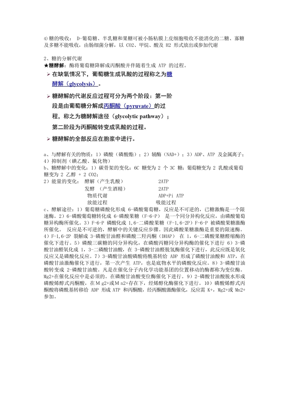 生物化学考试重点.docx_第3页