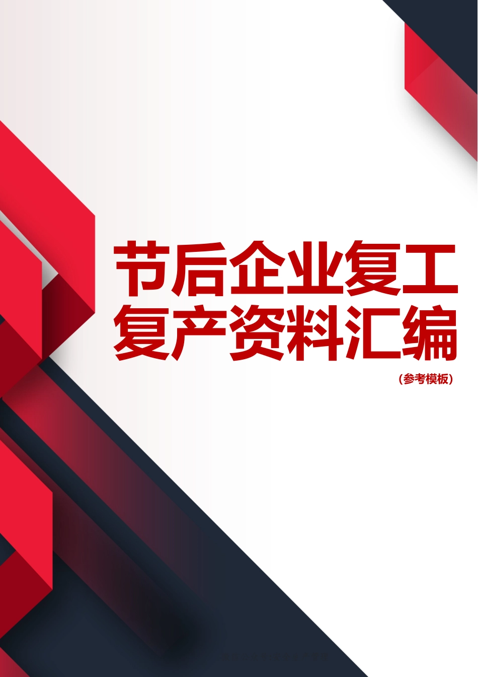 2025春节复工复产方案检查重点等资料汇编.doc_第1页