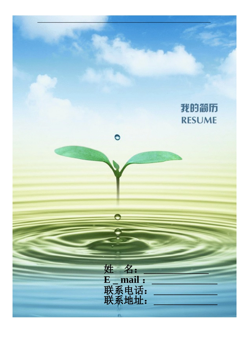 2025简历模版：084.清新蓝天_表格式_适用于IT行业_1页式_无内容_有封面.doc_第1页