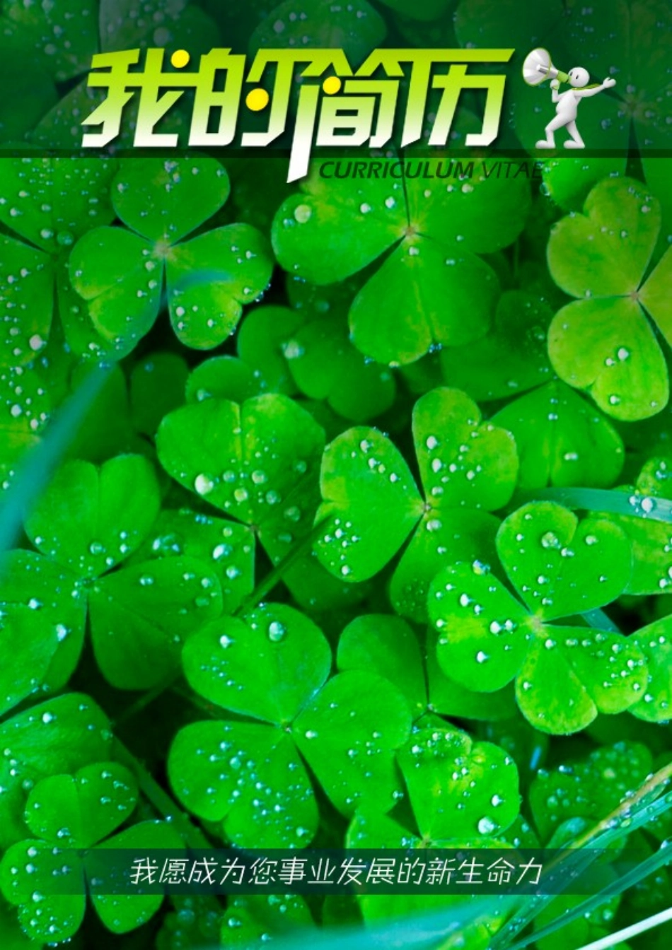 2025简历模版：133.新生命力_表格式_适用于IT、工程_2页式_无内容_有封面.doc_第1页