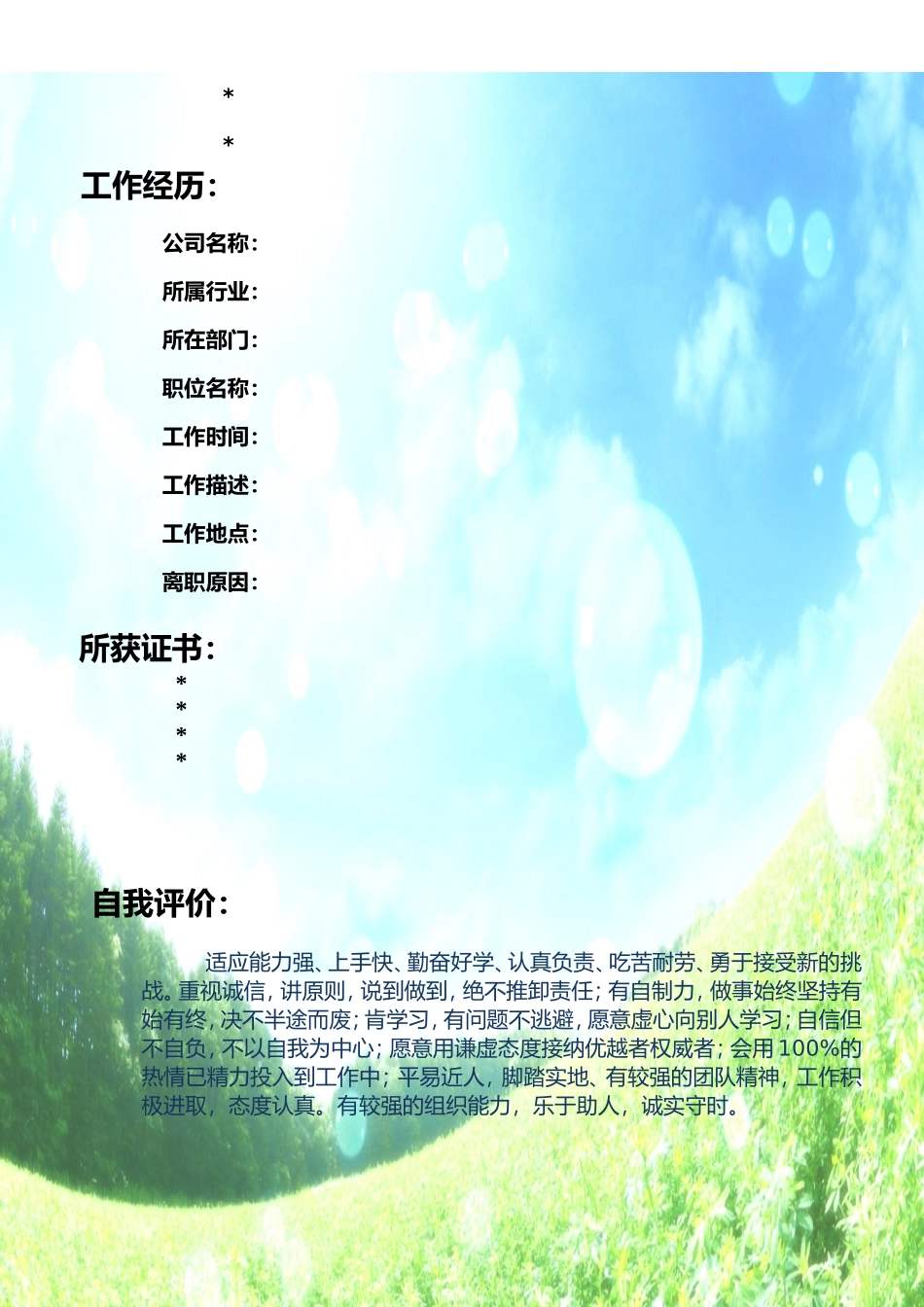 2025简历模版：136.飞行轨迹_表格式_适用于在职人员_2页式_无内容_无封面.doc_第2页