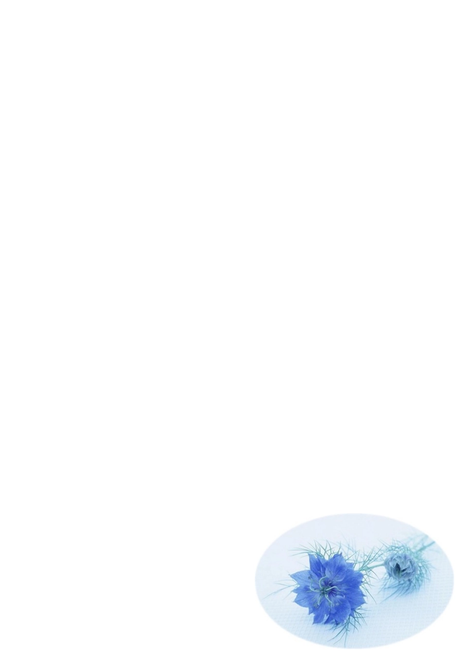 2025简历模版：185.冰蓝干花_含封面_含底图.doc_第2页