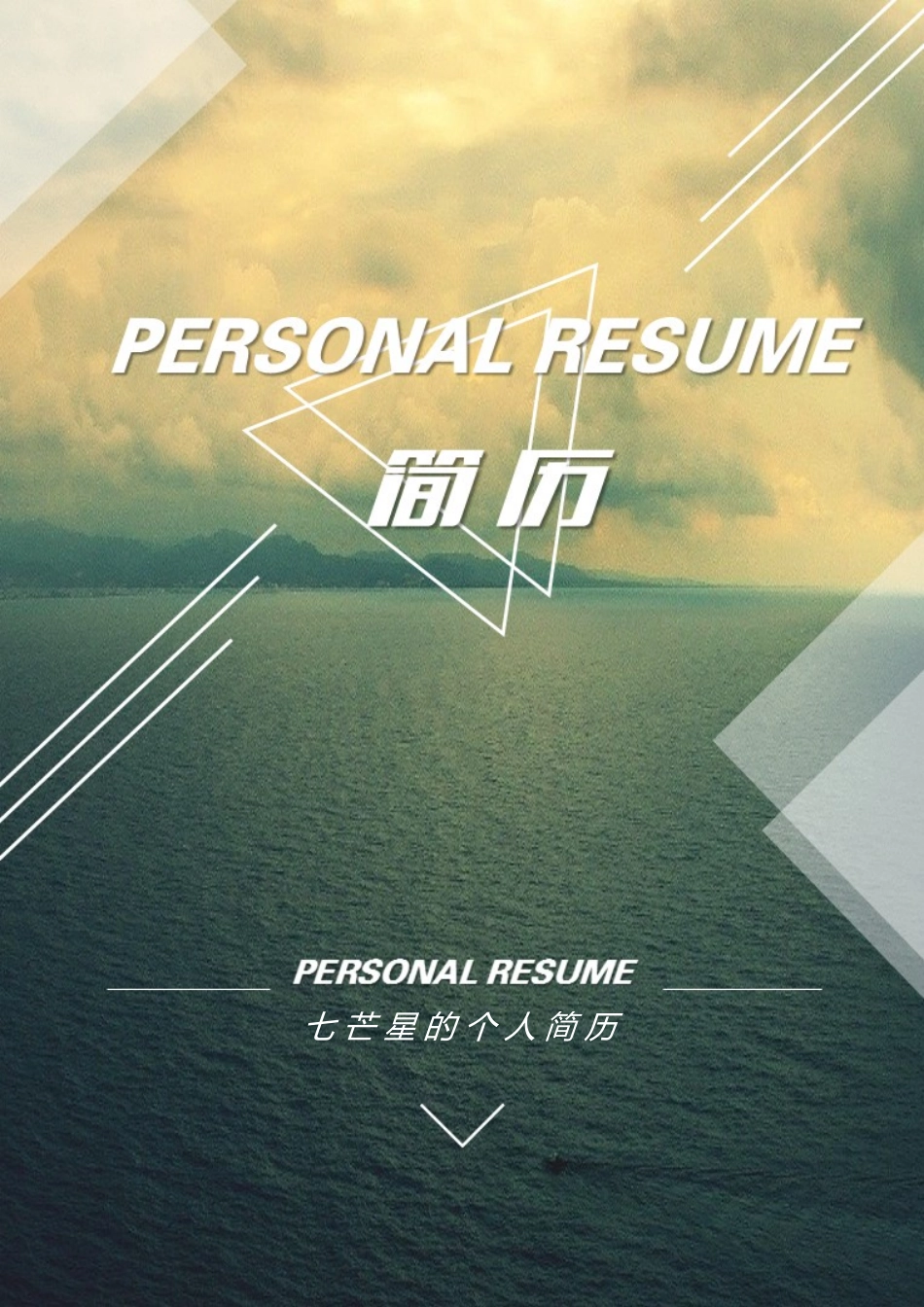 2025简历模版:七芒星简历09.doc_第1页