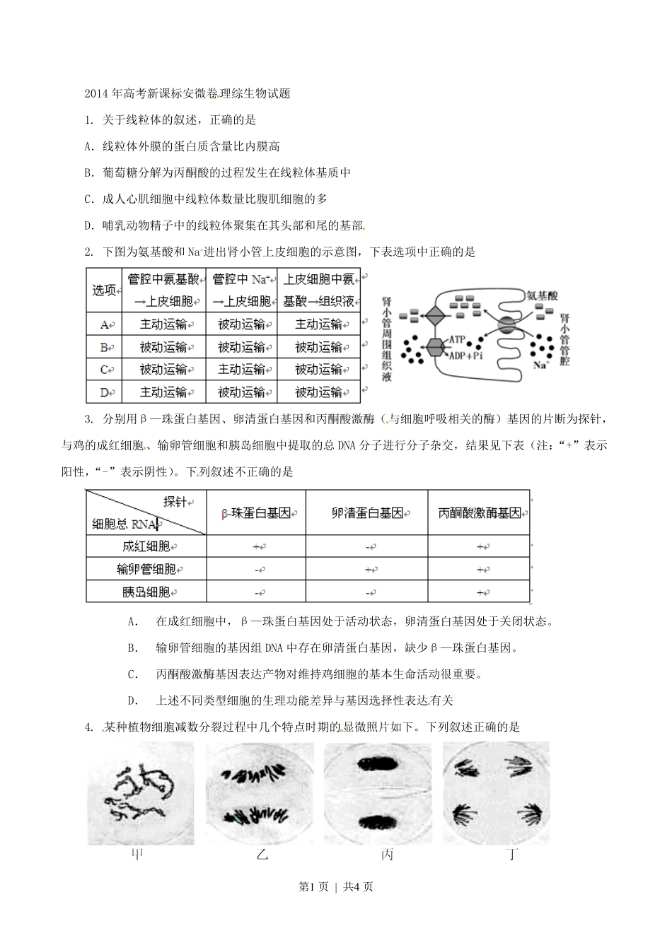 2014年高考生物试卷(安徽)(空白卷).pdf_第1页
