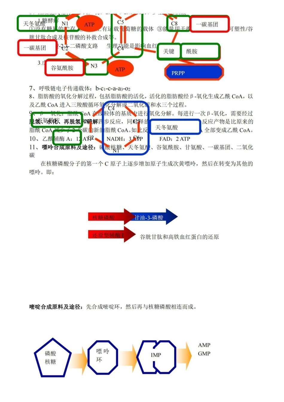 (完整版)动物生物化学期末复习资料超准.pdf_第3页
