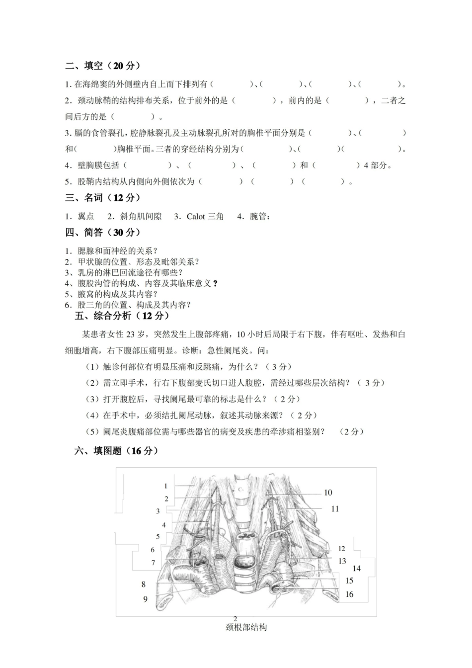 (完整版)局部解剖学试题及答案.pdf_第2页