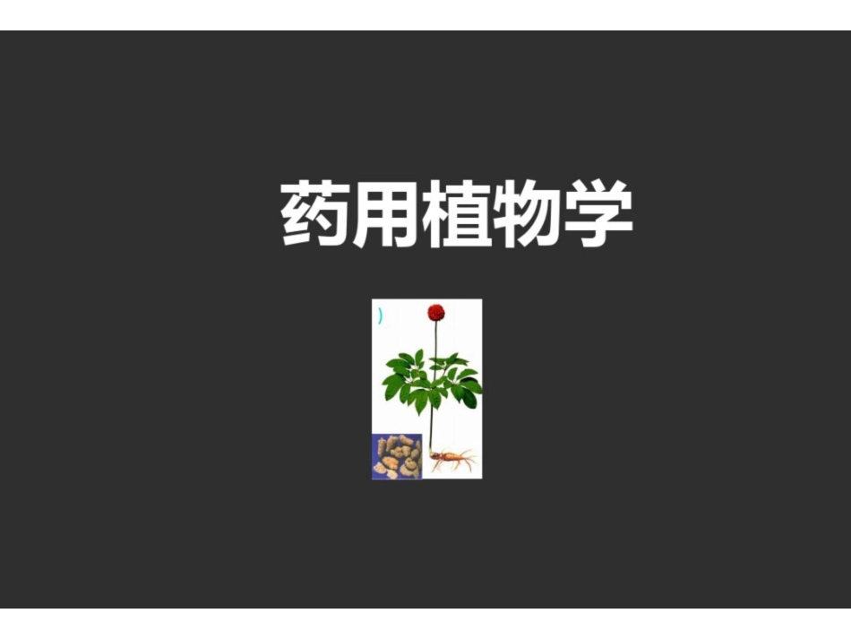 《药用植物学》PPT课件.pdf_第1页