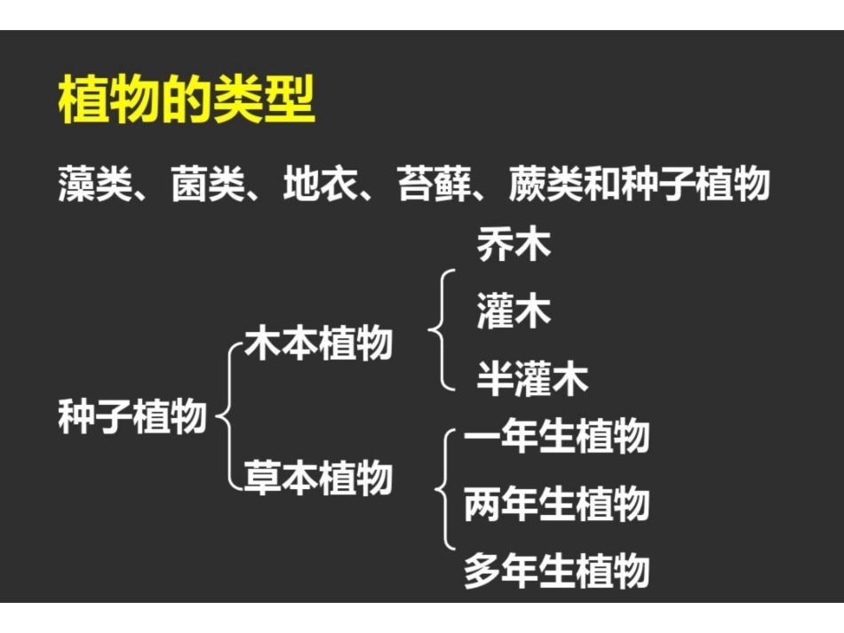 《药用植物学》PPT课件.pdf_第3页