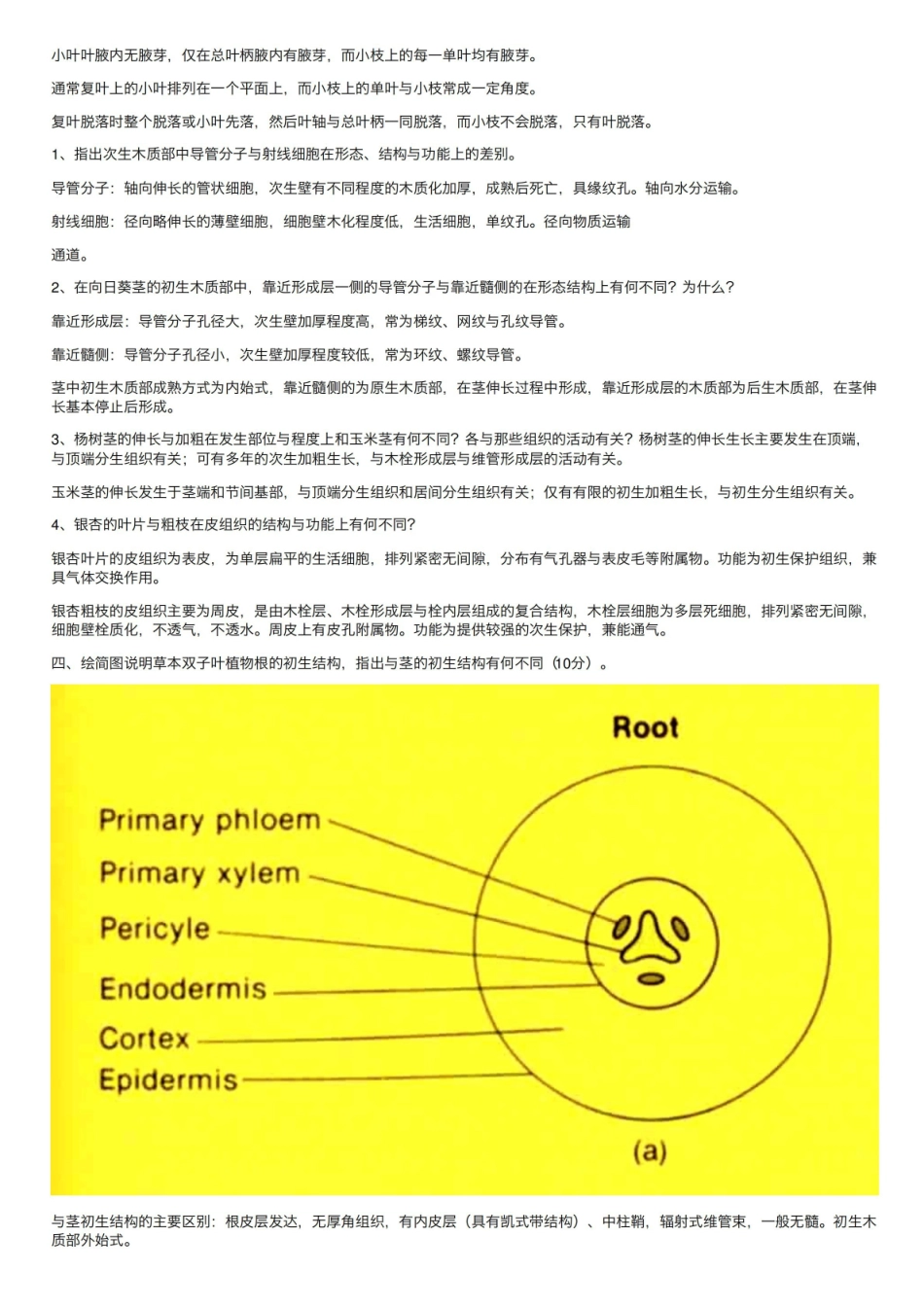 《药用植物学》名词解释 (10).pdf_第3页