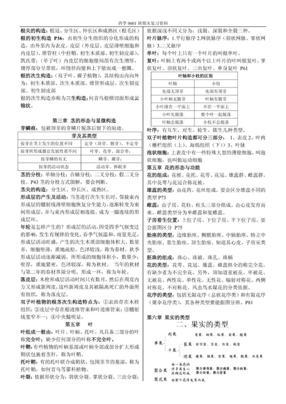 《药用植物学》重点知识归纳.pdf_第2页