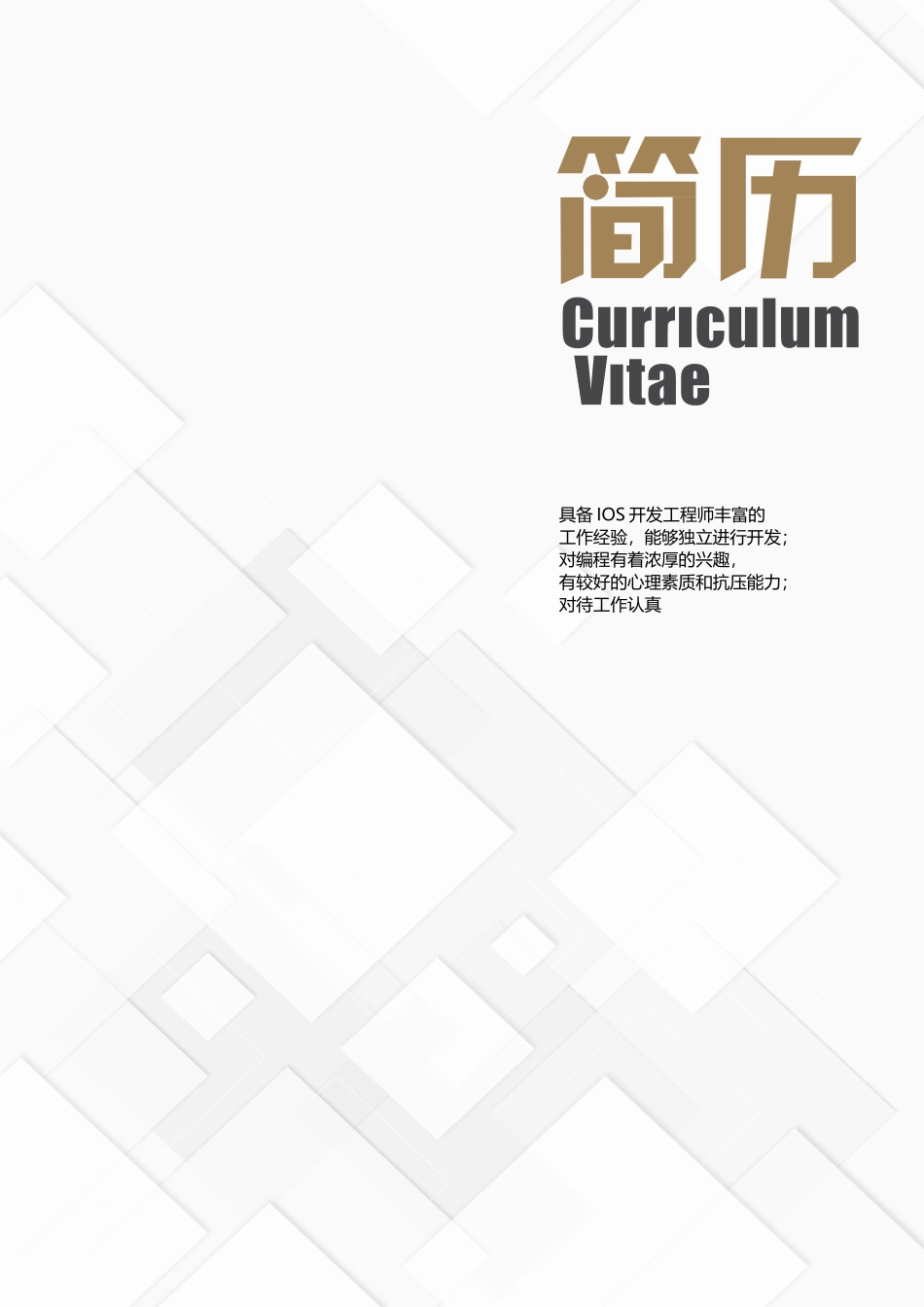 简历模板:21.docx_第1页