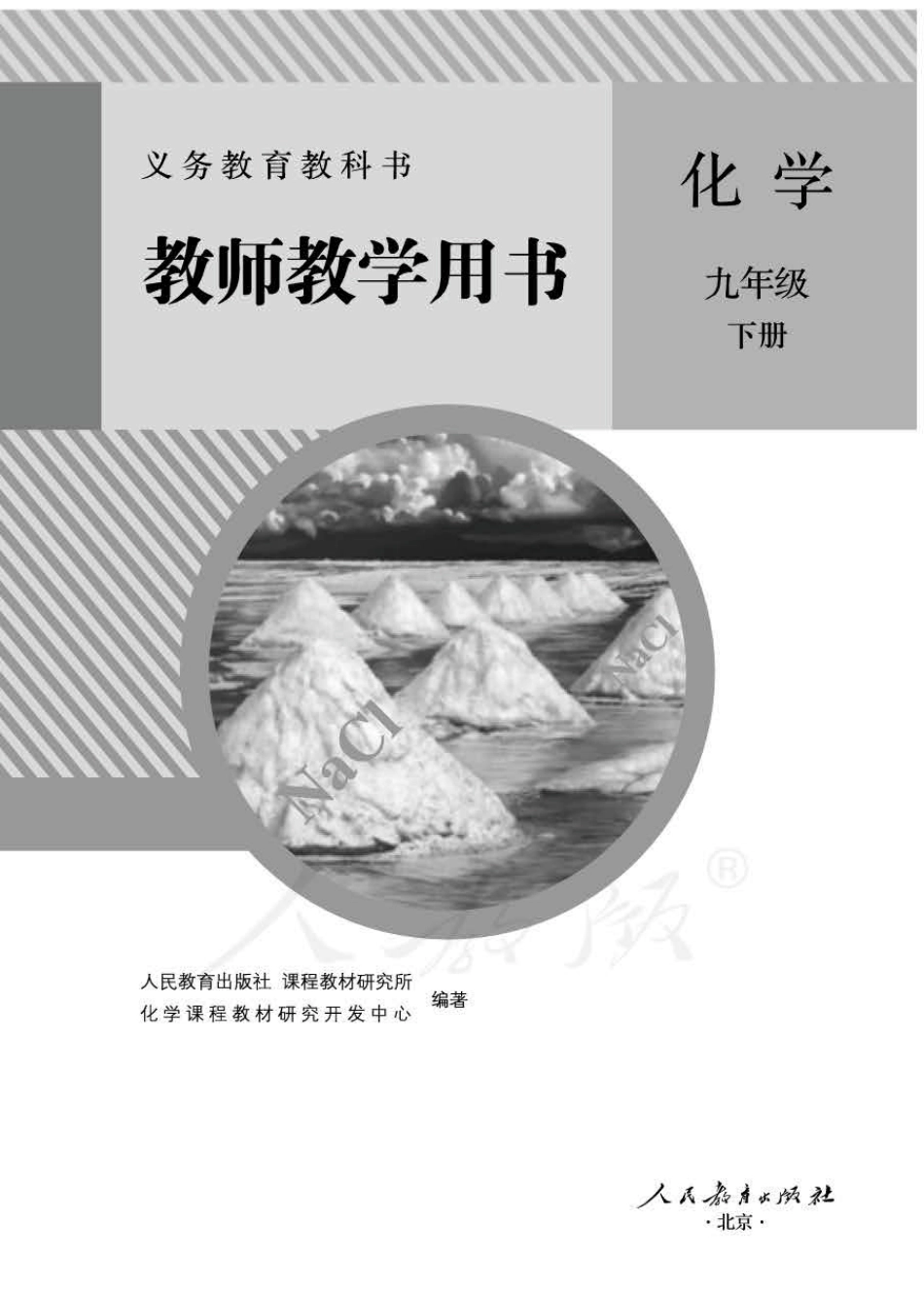 化学九年级下册 教师用书.pdf_第1页